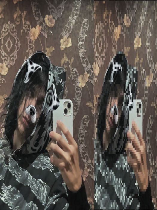 Bape tiger Raf Simons,,M’’