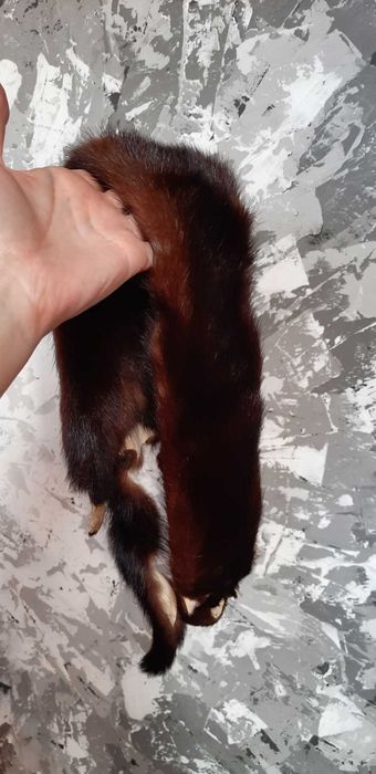 Шкірка шоколадної норки