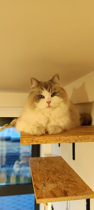 Koci hotel w Tarnowskich Górach