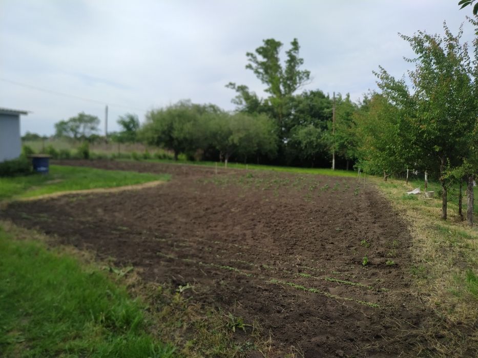 Будинок в с.Перехрестівка