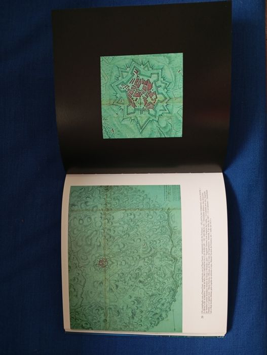 Livro " Almeida, a estrela de Pedra"