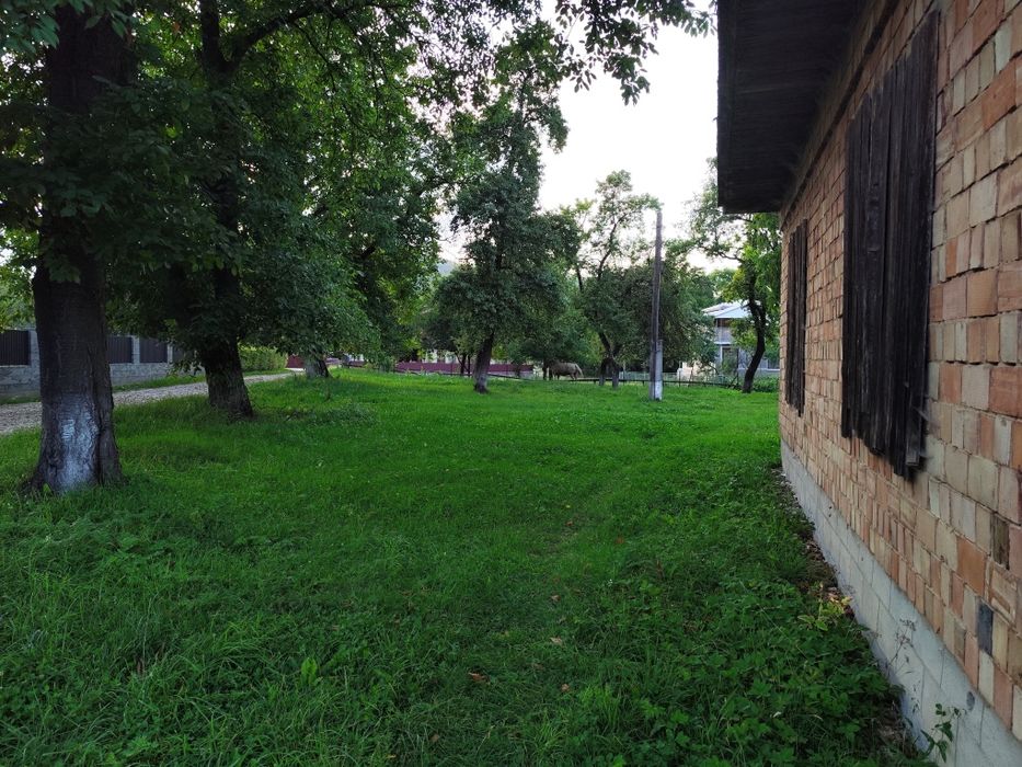 Продаж будинку та земельної ділянки 11,4 сот в Карпатах с. Пістинь