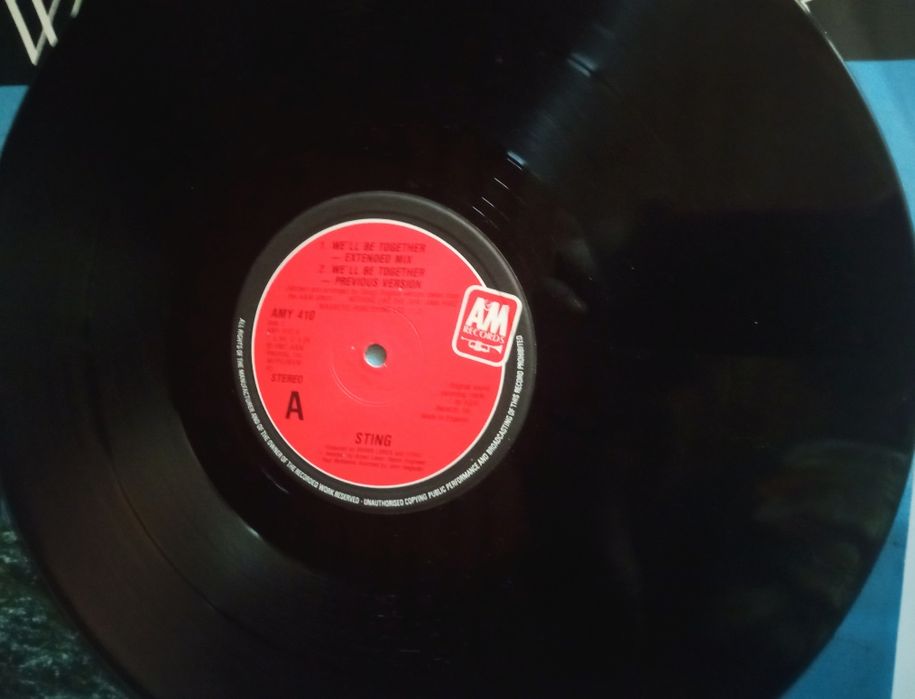 Vinil maxi Sting - We'll be Together