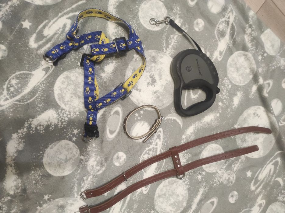 з поводок, шлея на маленьких собачек
