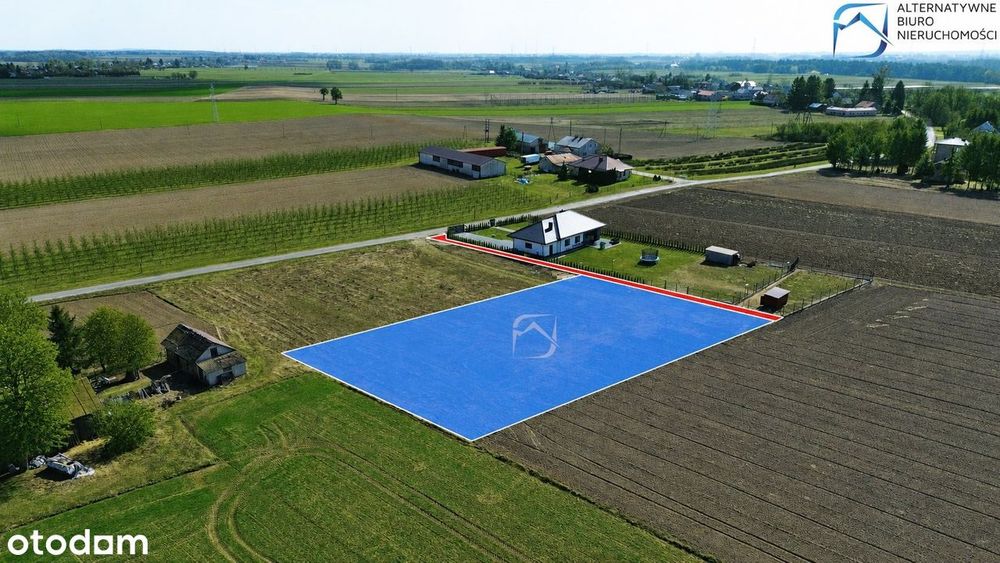 Zdjęcie 5
