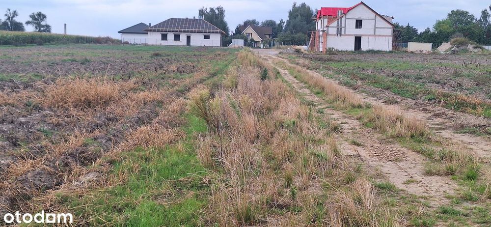 Działki budowlane na sprzedaż od 902 m2 do 1 035 m2 w Piotrowie