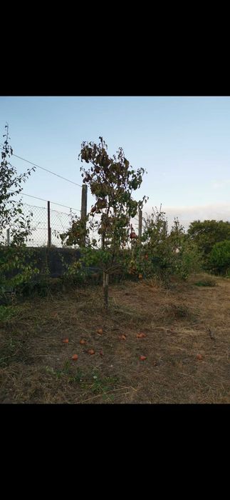 Terreno en zona de construção