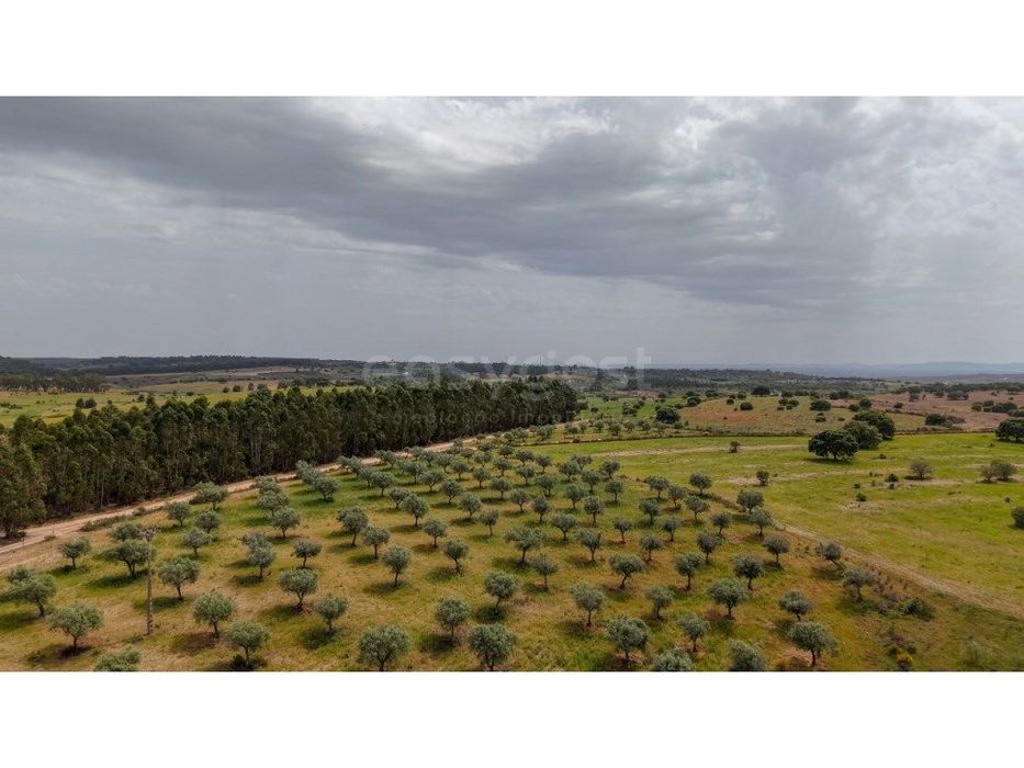Herdade de 132 ha em Idanha-a-Nova investimento sólido com identida...