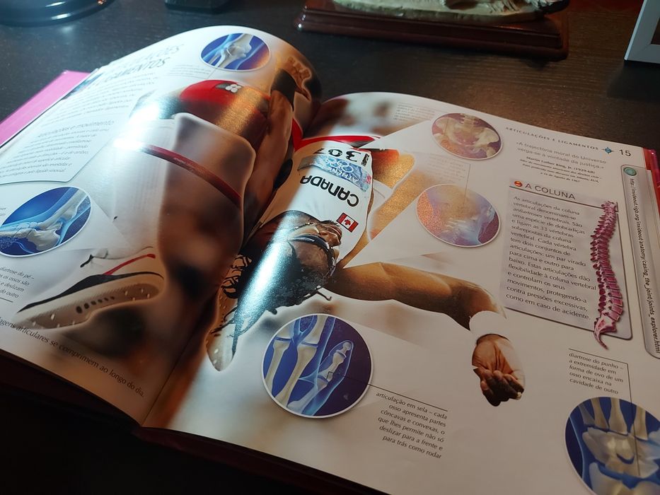 Livro educativo O Corpo Humano