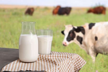 Świeże mleko krowie
