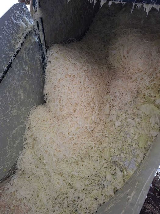 Sprzedam kapustę kiszoną