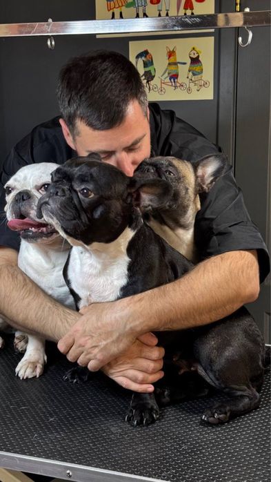 Ваш Грумер на Лівобережній | Стрижка собак | Тримінг | Роллінг | Линьк