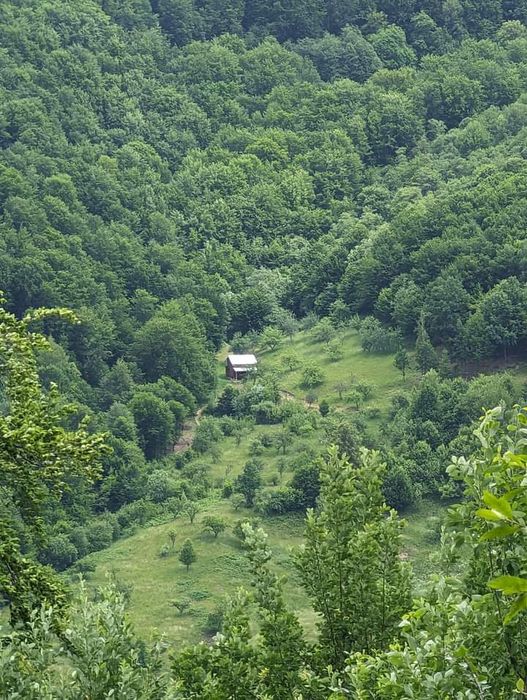 Відпочинок у Виженці.Вільні дати на різдвяно -новорічний період.