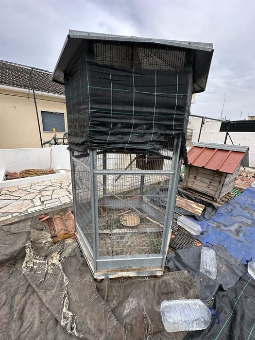 Gaiola de exterior com periquitos
