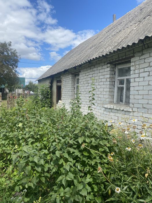 Продам ветхій будинок з земельною ділянкою  в центрі  села Глибочиця