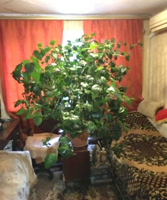 Комната в общежитие на Косвенной, 330651