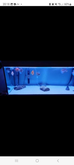 Aquario 250lts + movel + filtros + extras