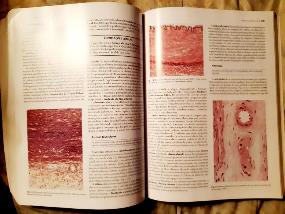 Tratado de Histologia