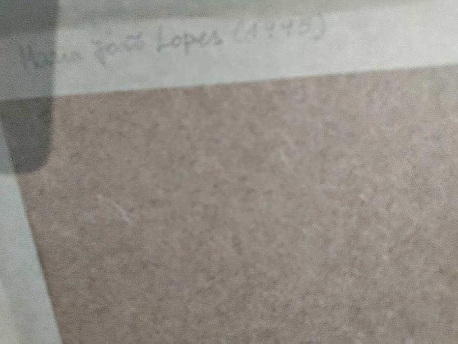 Desenho da ilustradora Maria João Lopes (1995)