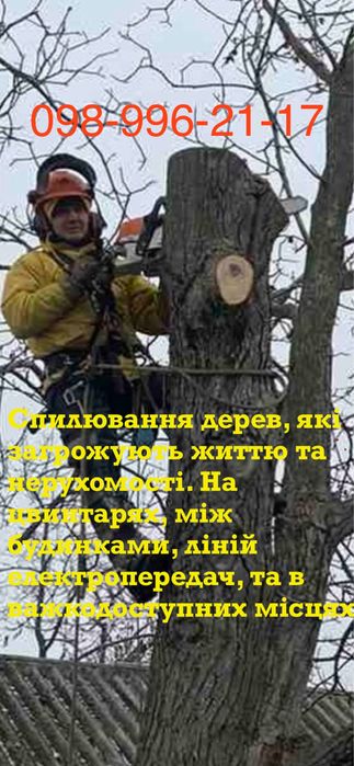 Зрізання аварійних дерев.Порізка на дров.а.Подрібнення гілля.