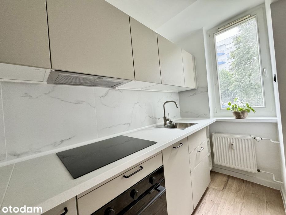Po generalnym remoncie | 2 pokoje | balkon, winda, widok na zieleń