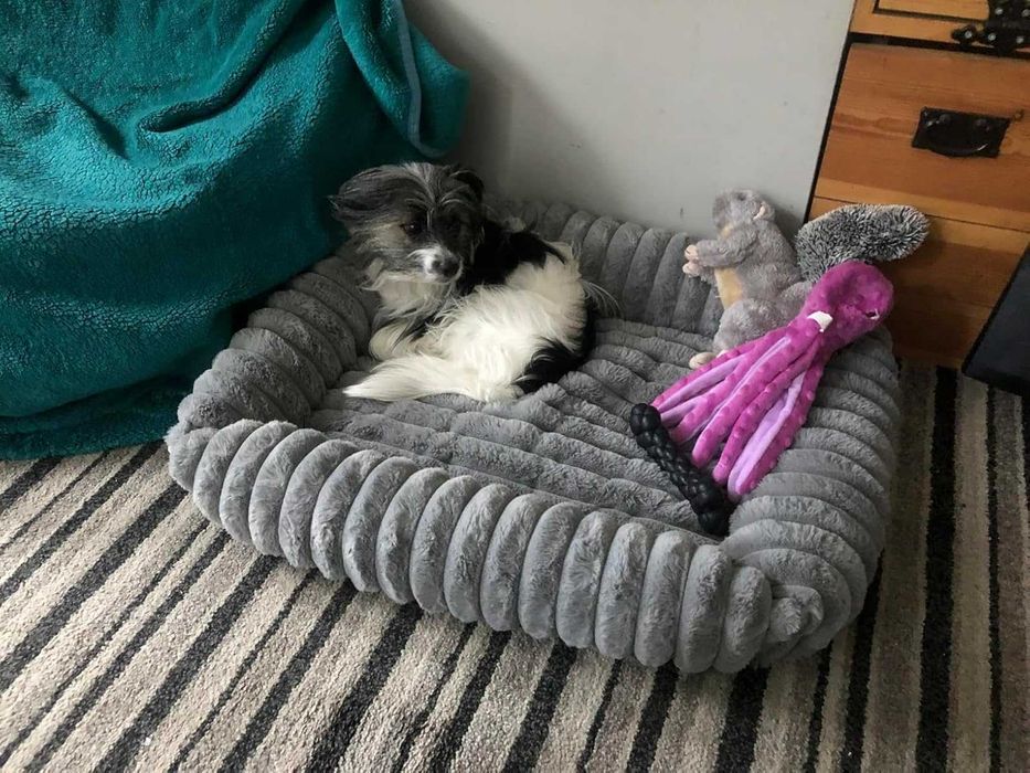 Puszyste wygodne legowisko dla psa kota miękkie 70x55