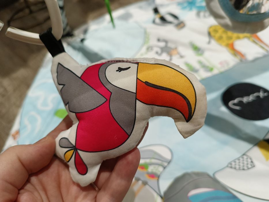 Mata edukacyjna Momi