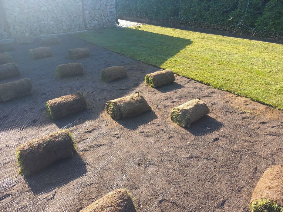 Trawa trawnik z rolki sprzedaż transport montaż wysyłki