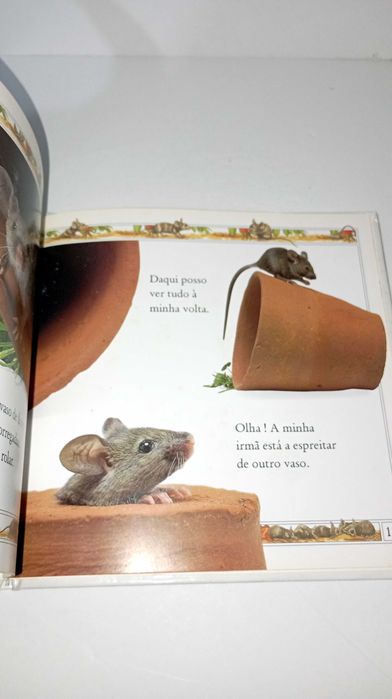 Rato - Vejam coo eles crescem