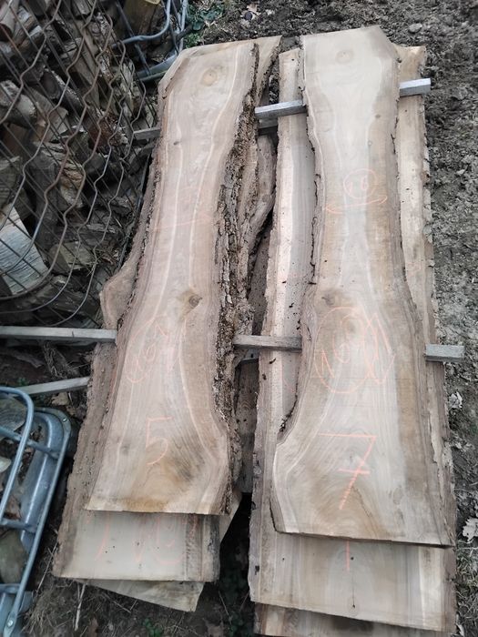 Foszty deski orzech suche mokre