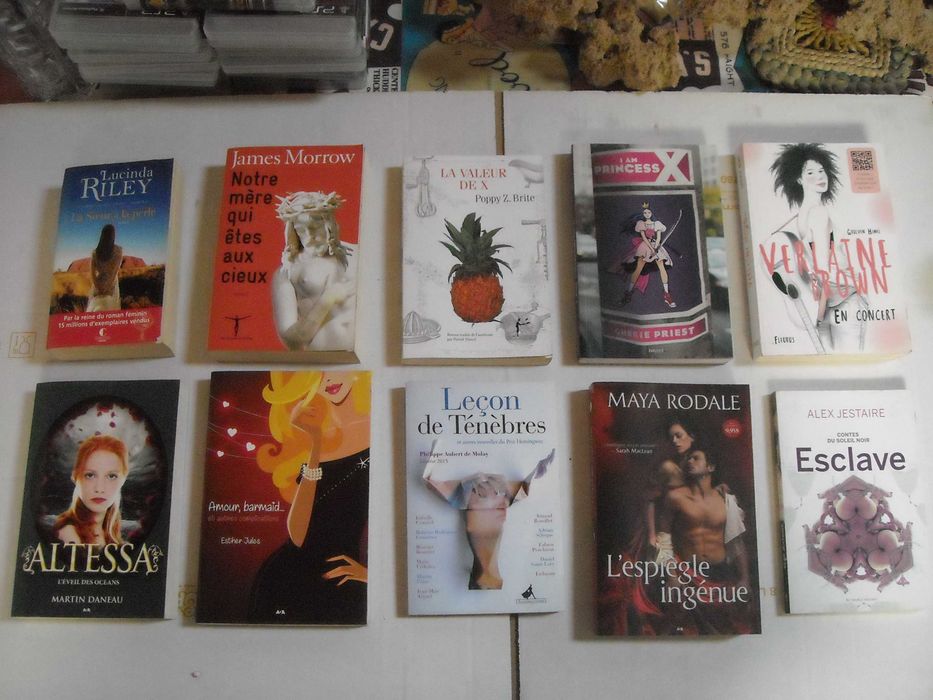 Livros romances diversos juvenis e adultos frances novos 20 titulos