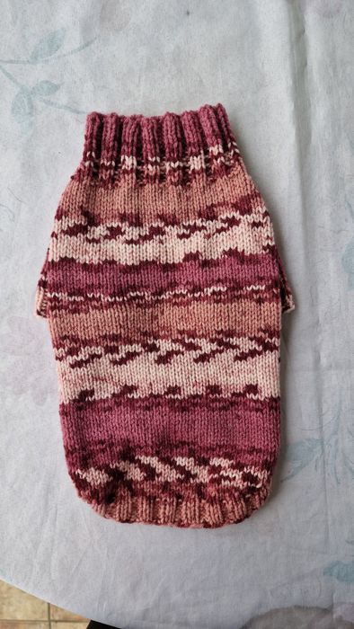 Одежда для собак.