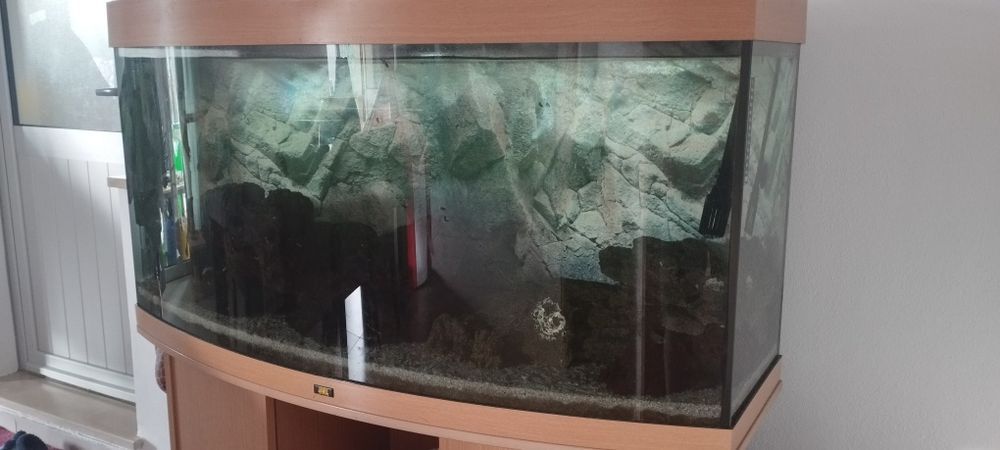 Aquário + móvel juwel 250l