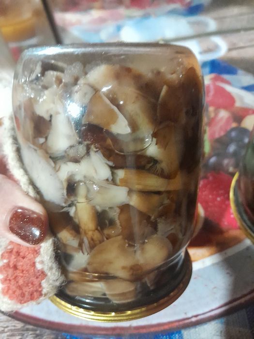 Маринованные домашние грибы