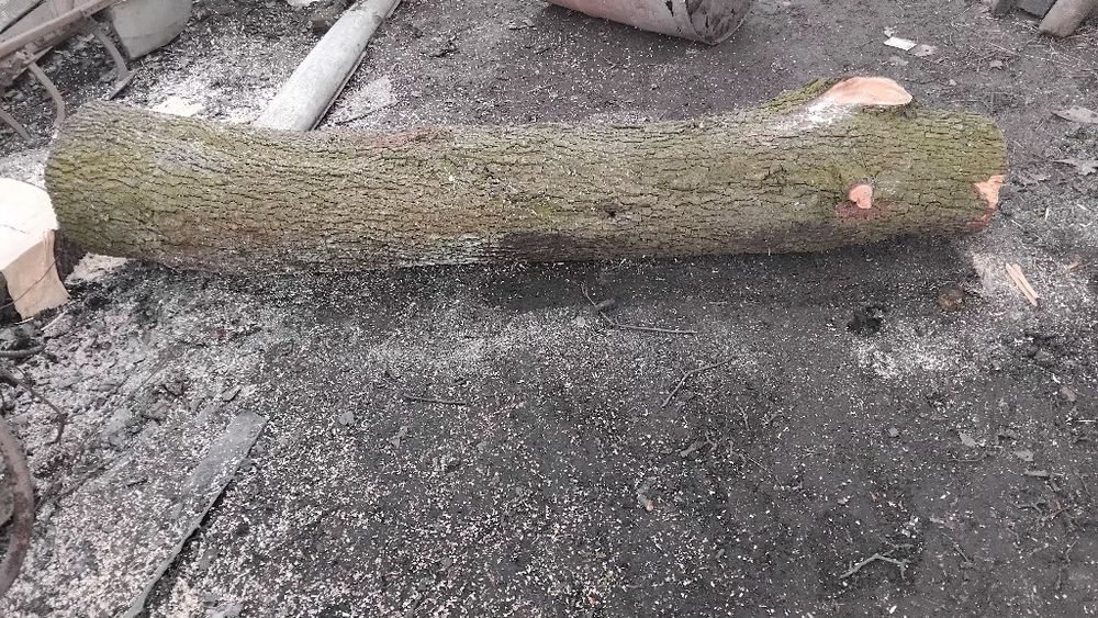 Продам грушу стовбор, 2шт. 2м., самовивіз