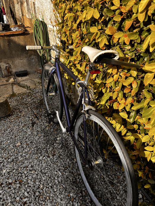 Bicicleta tipo Fixie