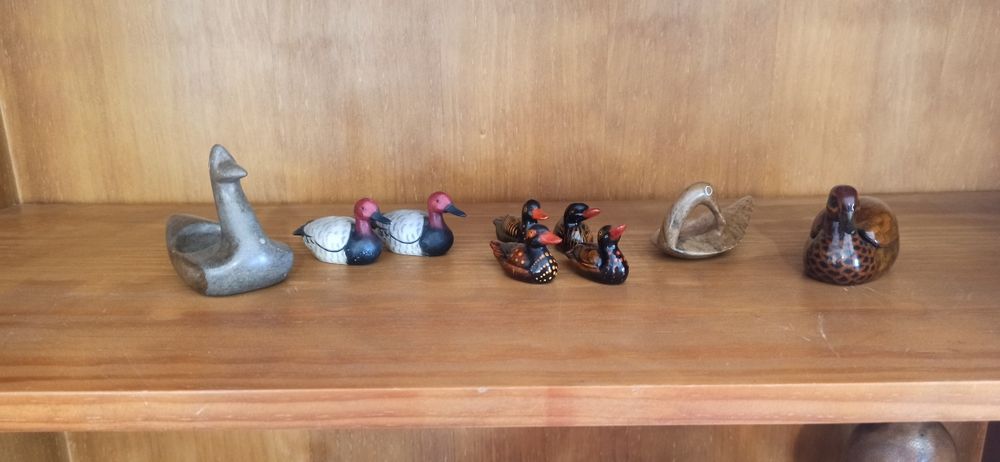 Coleção de bibelots de patos