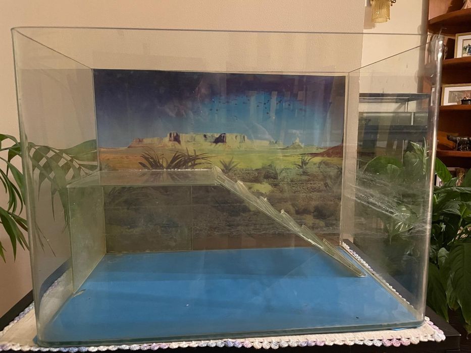 Aquário de tartarugas