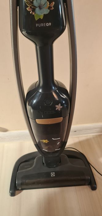 Odkurzacz pionowy Electrolux PQ91-40GG