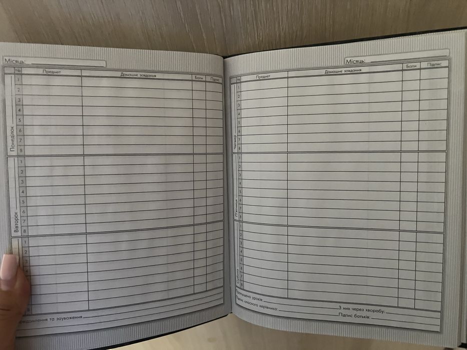 школьный дневник