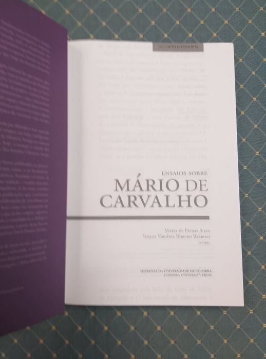 Ensaios sobre Mário de Carvalho