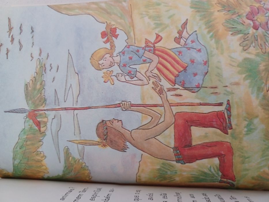 Livro Por fim talvez sejamos irmãos - Instituto Nacional do Ambiente