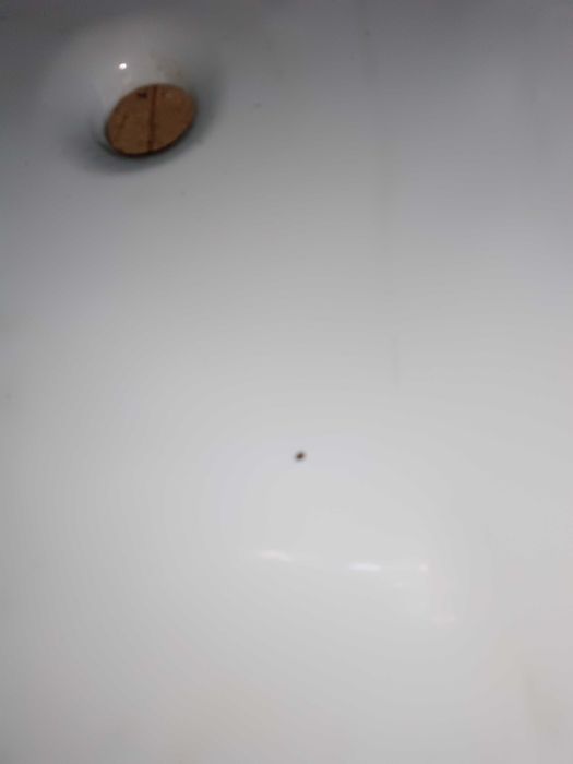 ванна чавунна емальована