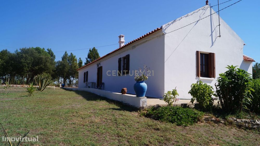 Monte/Terreno-Santiago Cacém, c/Vista Camp0 e Árvores Frutíferas