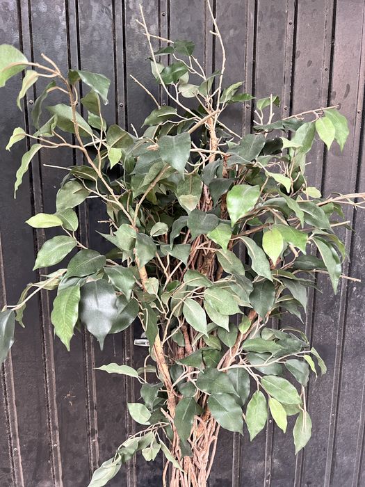 Planta artificial grande com vaso