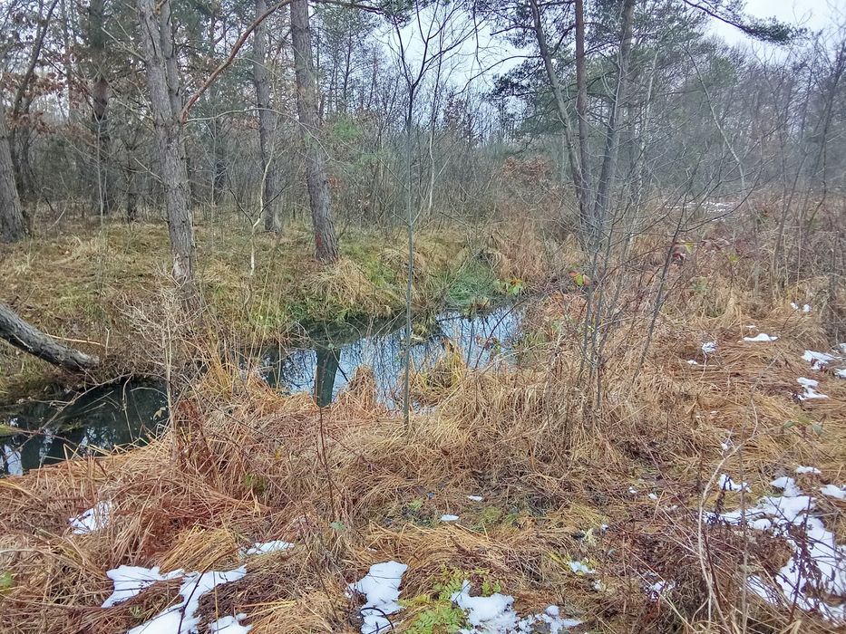 Земельна ділянка 12 соток