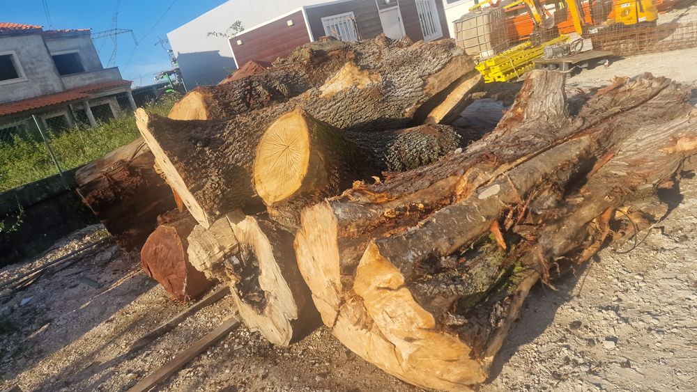 Lote de troncos paus para tampos de mesas rusticas carvalho cedro euca