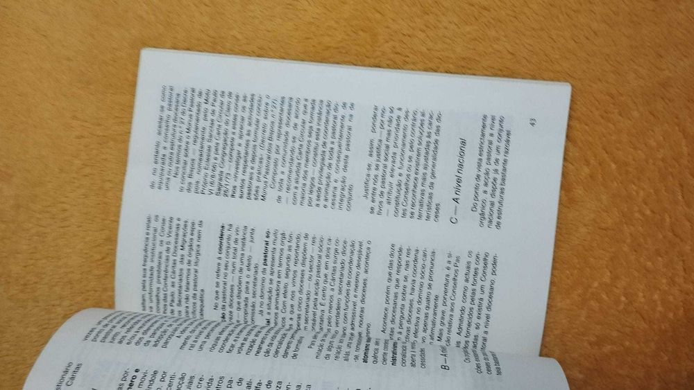 Pastoral Social - O que é?