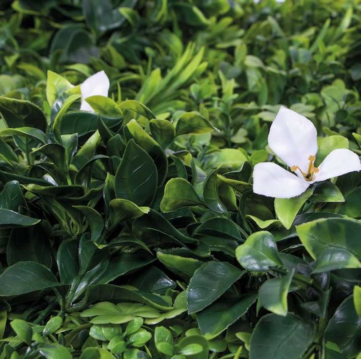 Jardim Vertical - EXOTIC