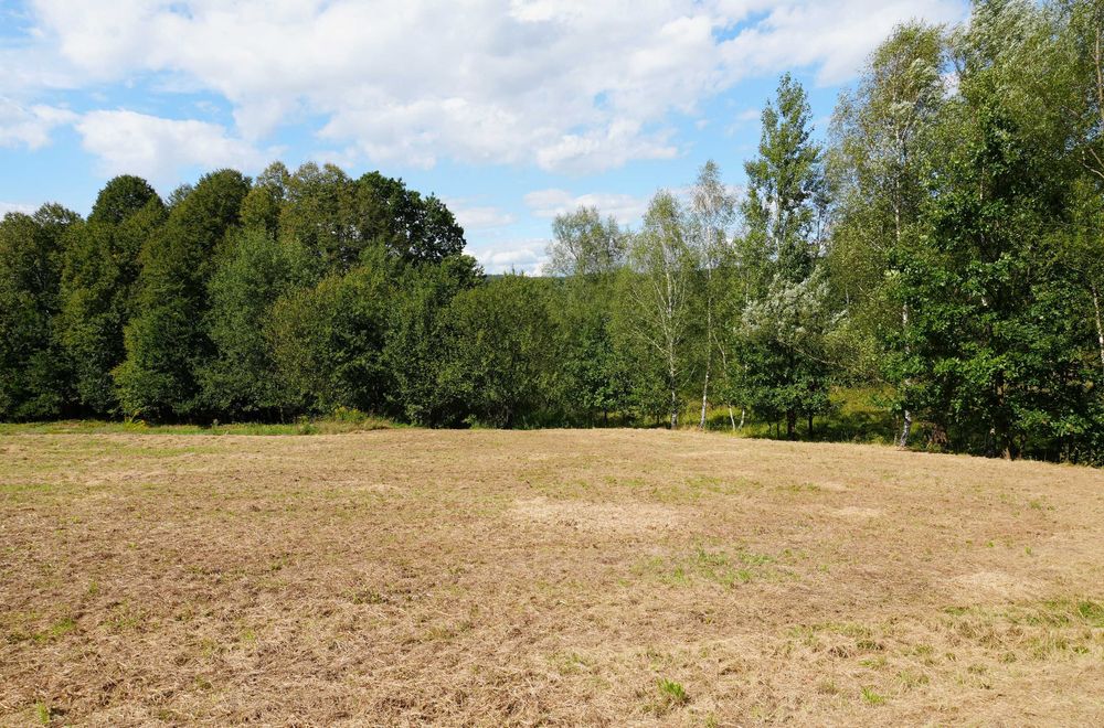 Działka lub działki budowlane Głogczów 8 arów